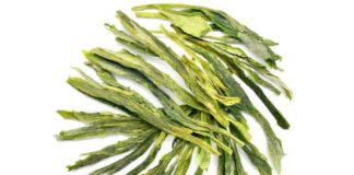 Cała prawda o zielonej herbacie