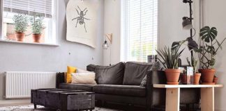 Dywany shaggy, czyli włochacze. Dlaczego tak je uwielbiamy?