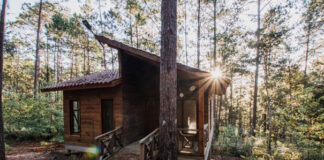 Dlaczego domki drewniane są idealne na upalne lata