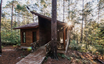 Dlaczego domki drewniane są idealne na upalne lata