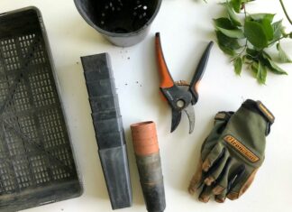 10 niezbędnych narzędzi ogrodniczych dla początkujących