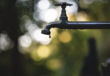 Oszczędzanie wody dzięki systemom nawadniania