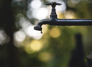 Oszczędzanie wody dzięki systemom nawadniania