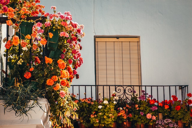 Jakie kwiaty balkonowe i tarasowe wybrać do cienistych miejsc?