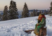 Ile porsche ma Świątek?