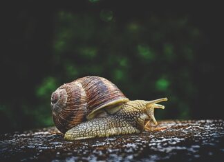 Do czego służy y bit?