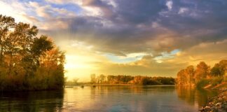 Jak łączyć kolory poduszek?