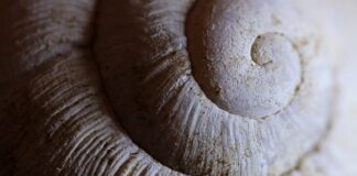 Jak docierać powłokę ceramiczna?