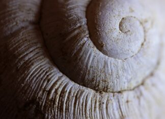 Jak docierać powłokę ceramiczna? Jak docierać powłokę ceramiczna?