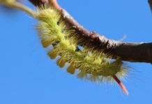 Ile prądu zużywa prostownik?