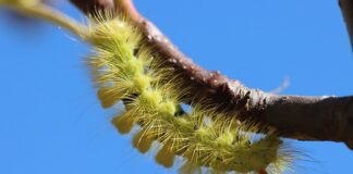 Ile prądu zużywa prostownik?