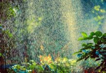 Ile zraszaczy na 700m2?