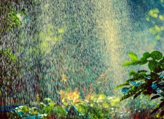 Ile zraszaczy na 700m2?