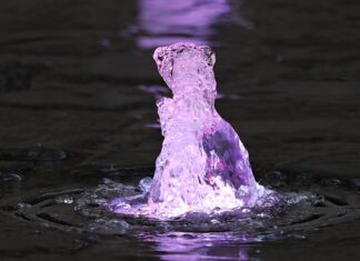 Jak wyciągnąć wodę ze studni głębinowej bez prądu? Jak wyciągnąć wodę ze studni głębinowej bez prądu?