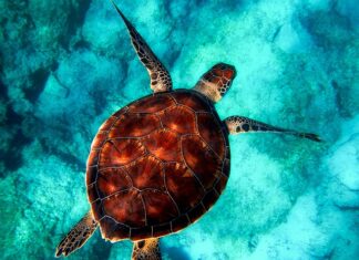 Czy powłoką ceramiczną chroni przed rysami?