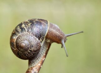 Jak sprawdzić czujnik poziomowania zawieszenia?