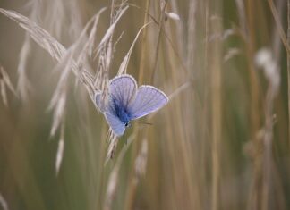 Co to znaczy wysokość bezwzględną?