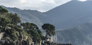 Ile kosztuje wymiana progów?