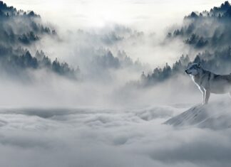 Jakie poszewki na zimę?