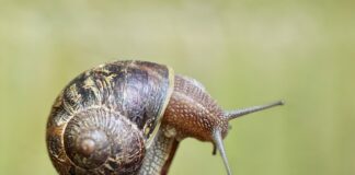 Gdzie znajduje się czujnik poziomowania świateł?