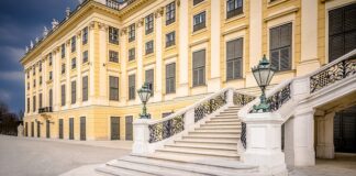 Czy studnia osuszy działkę?