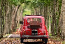 Co dalej z auto motor i sport?